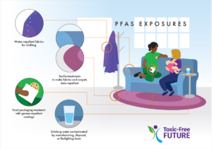 TFF_BreastmilkStudy-illustration_R6_PFASExposuresImageWithLabels - high resolution - with TFF logo