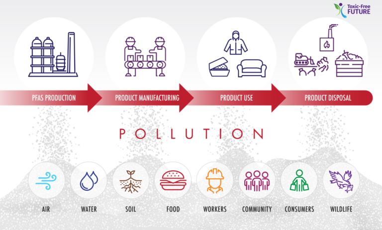 Path Of Toxic Pollution An Investigative Report Toxic Free Future