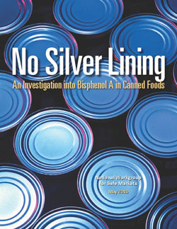 No Silver Lining Report Cover