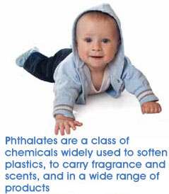 Phthalates-baby