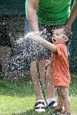 New study rates best and worst garden hoses: lead, phthalates & hazardous  flame retardants in garden hoses - Toxic-Free Future