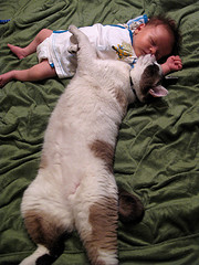 baby with cat