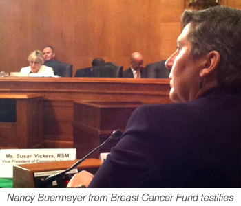 Nancy Buermeyer from Breast Cancer Fund testifies