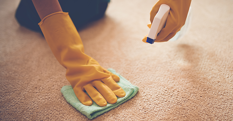 A gloved hand cleaning carpet with a spray bottle and cloth
