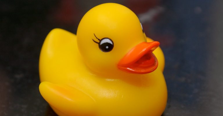 Rubber duck