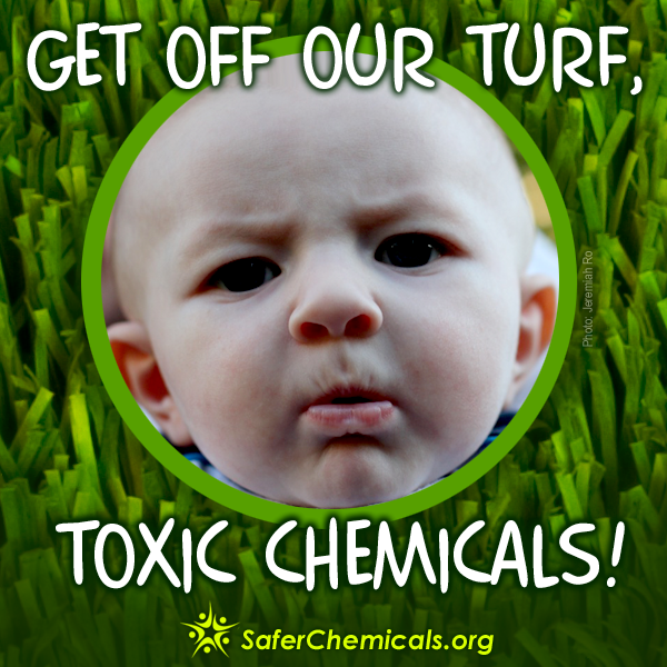 Get off our turf, toxic chemicals!