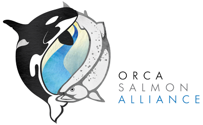 Photo of Orca Salmon Alliance