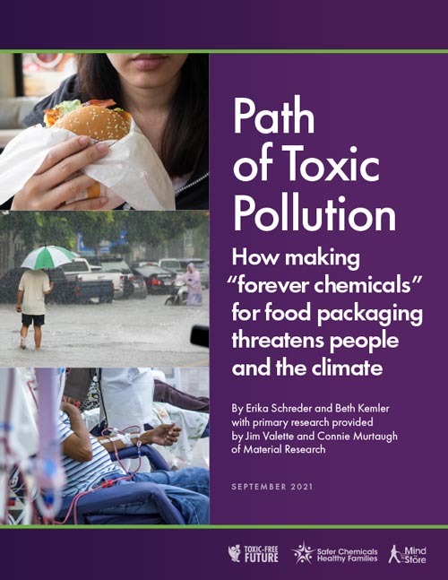 Report Cover of Path of Toxic Pollution